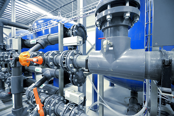 Valvae communis structurae et characteres