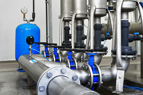 Tutela et fermentum valvulae