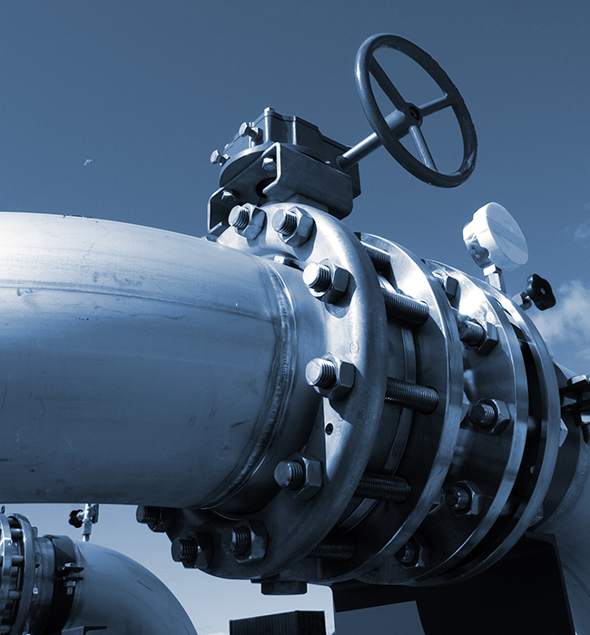 The Custos Imperii in Liquor Mundi